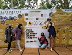 Budidaya Madu Kelulut Sangatta Jadi Wisata Agrosilvopastura