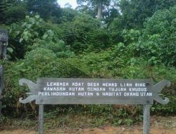 Mengenal Hutan Wehea Kutim yang Menggugah Hati Wisatawan