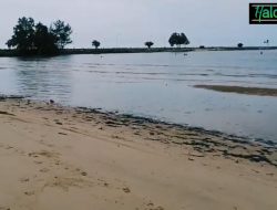 Buntuti Ayah Berenang, Bocah 8 Tahun Disambar Buaya di Pantai Teluk Lombok Sangatta