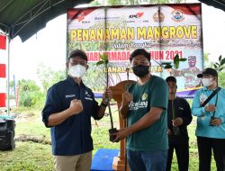 Gemilang Kutim Terima 500 Bibit Mangrove dari KPC, Siap Ditanam di Kenyamukan   