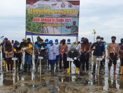 5.000 Bibit, Lanal Sangatta Tanam Mangrove di Teluk Lombok, Penutupan Dilakukan di Kenyamukan 12 Desember