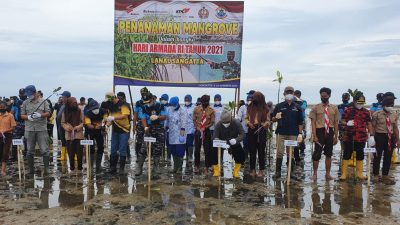 5.000 Bibit, Lanal Sangatta Tanam Mangrove di Teluk Lombok, Penutupan Dilakukan di Kenyamukan 12 Desember