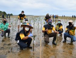 KPC, Bakrie Amanah dan Lanal Tanam 5000 Pohon di Kutai Timur