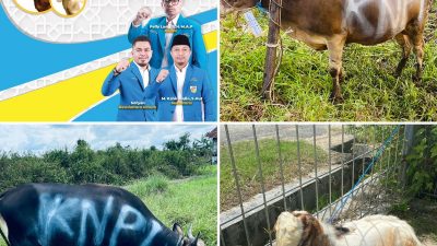 KNPI Kutim Kurban 2 Sapi dan 1 Kambing, Ajak Pemuda Berkurban