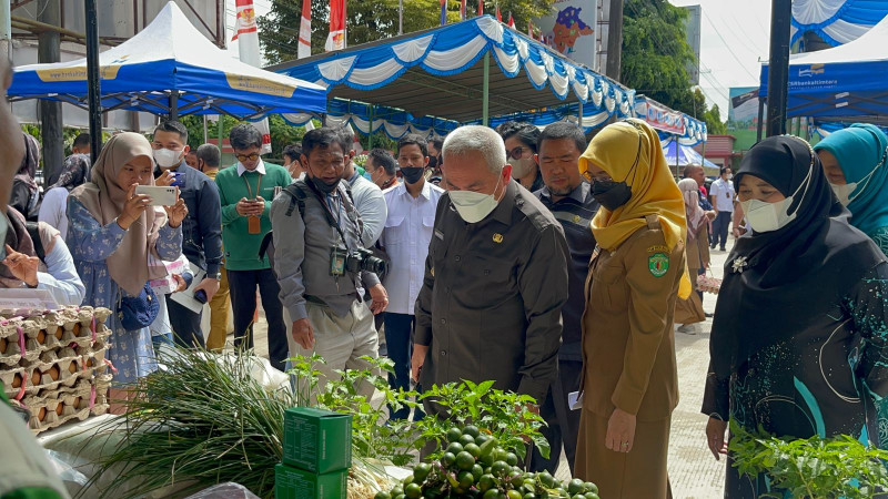 Inflasi Kenaikan BBM, DP-TPH Gelar Pangan Murah