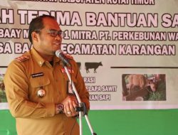 Pemkab Kutim Salurkan Bantuan 12 Sapi Betina kepada Poktan Baay Kecamatan Karangan   