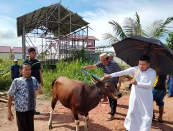 Konsisten Berkurban Saat Idul Adha, KNPI Kutim Didukung Peran Aktif Para Pemuda