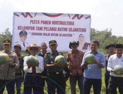 Semarak HUT RI Ke 78, Poktan Pelangi Kutim Sejahtera Panen dan Lomba Ukir Buah