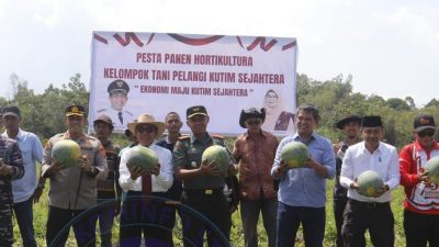 Semarak HUT RI Ke 78, Poktan Pelangi Kutim Sejahtera Panen dan Lomba Ukir Buah