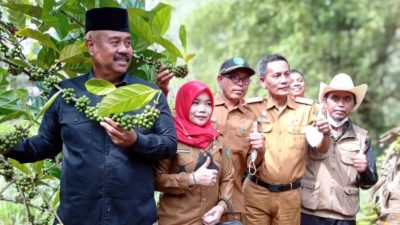 Melihat Keseriusan Pemkab Kukar Dalam Mengembangkan Perkebunan Kopi Di Daerah