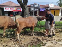 Seriusnya Pemkab Kukar Mengembangkan Peternakan Daerah