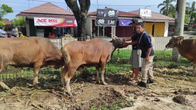 Seriusnya Pemkab Kukar Mengembangkan Peternakan Daerah