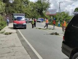 Kecelakaan Maut Motor vs Mobil Box di Sekurau Atas, Satu Korban Meninggal di Tempat