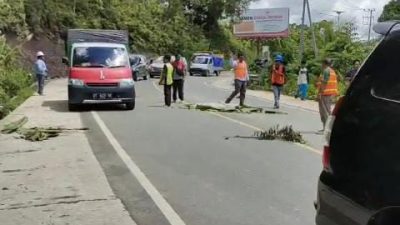 Kecelakaan Maut Motor vs Mobil Box di Sekurau Atas, Satu Korban Meninggal di Tempat