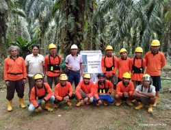 DSNG Dorong Peningkatan Skill Pekerja Melalui Pengalaman Pelatihan Individu