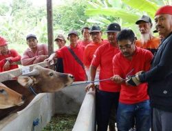 Bupati Kukar Serahkan Bantuan Hewan Ternak Kepada Peternak Di Kecamatan Tenggarong Seberang