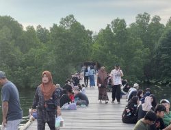 Mangrove Berbas Pantai Jadi Prioritas Pembenahan di APBD Perubahan Bontang