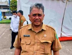 Harga Cabai di Kukar Stabil, Panen KWT Jadi Penopang Utama