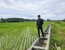 Atasi Genangan Air, Pemkab Kukar Segera Normalisasi Drainase di Kelurahan Maluhu