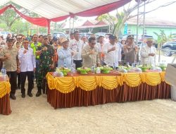 Peresmian Wisata Sawah Teluk Pandan, Arfan Minta Pengembangan Lahan dan Penambahan Fasilitas