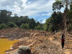 Belum Ada Kejelasan Soal Pelaku Perusakan Hutan Pendidikan Unmul, DPRD Kaltim Desak Aparat Hukum Tegas dan Transparan