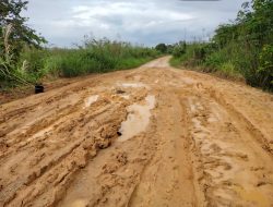 Jalan Rusak 12 Kilometer di Kota Bangun Darat Jadi Sorotan, PU Kukar Lakukan Survei