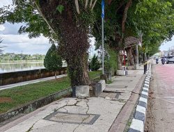 Pemkab Kukar Pangkas Pohon Rawan Tumbang di Tenggarong